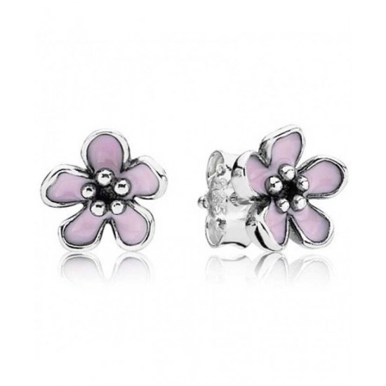 Pandora Earring-Silver Cherry Blossom Flower Studs